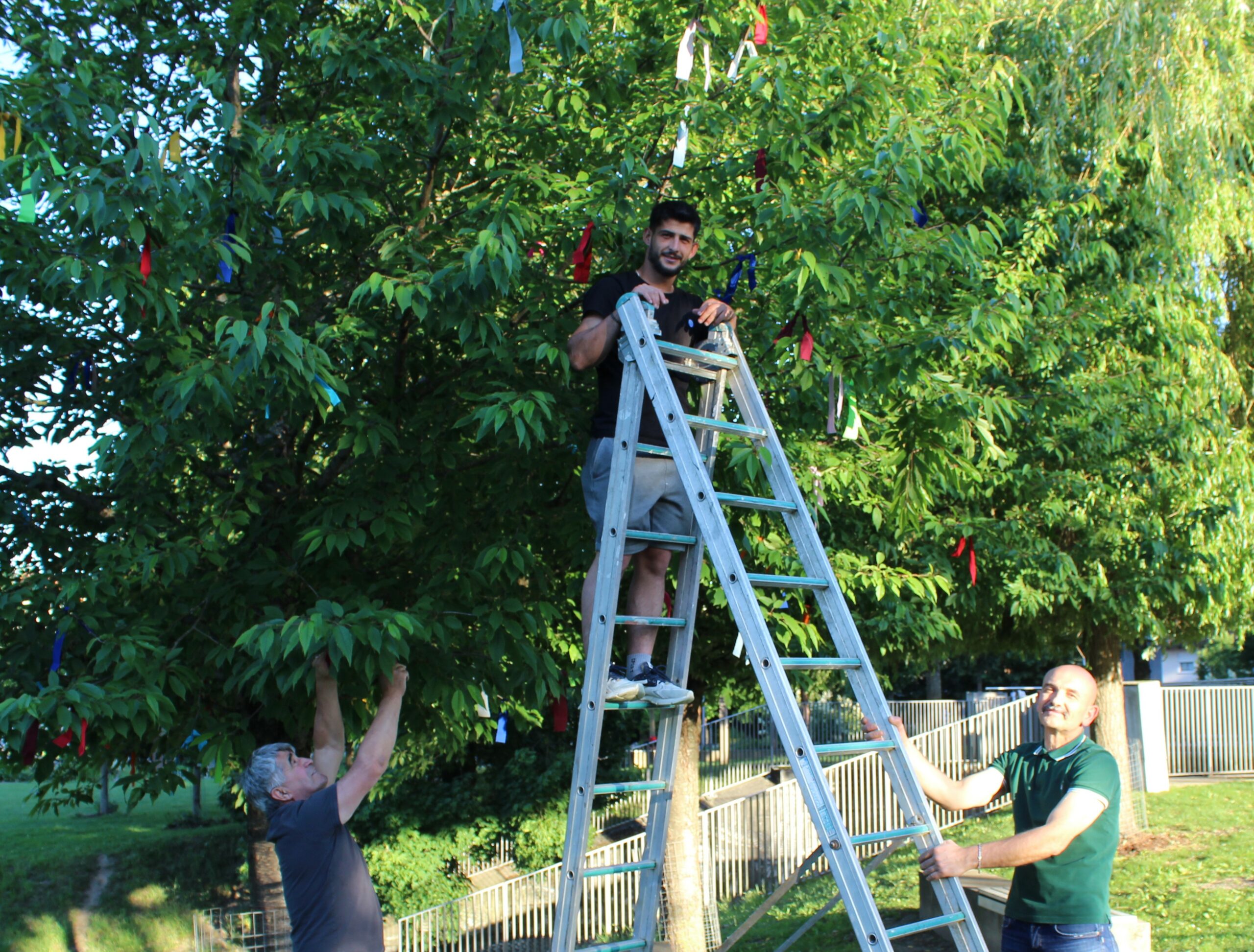 Baum der Religionen fürs Friedensgebet bunt geschmückt